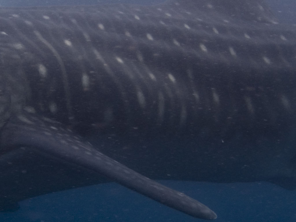 d61d461d-445c-47b2-8671-7cee8bc5ad57