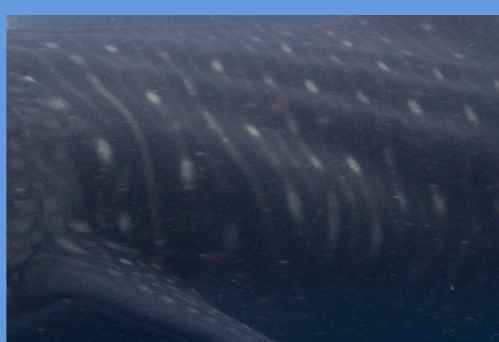 d61d461d-445c-47b2-8671-7cee8bc5ad57