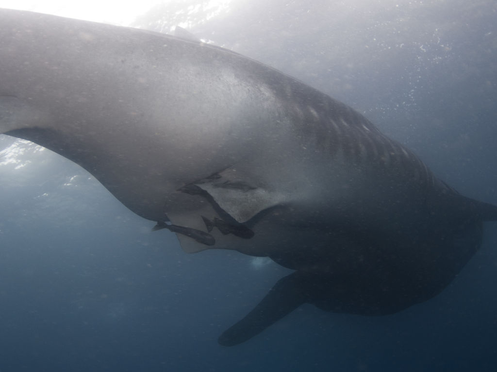 d61d461d-445c-47b2-8671-7cee8bc5ad57