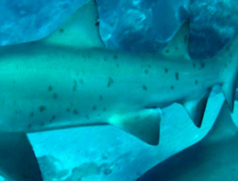 6406df9e-f628-41a9-9a33-09310a2622c8