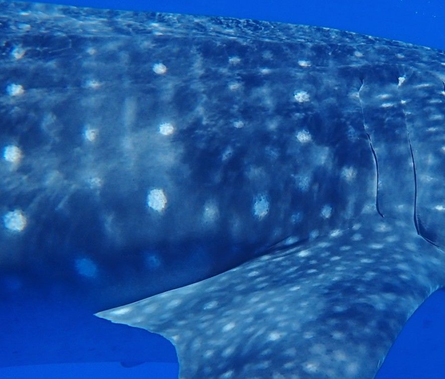 a9e3ffc6-4524-411c-b9c6-d9d0cca8d93e