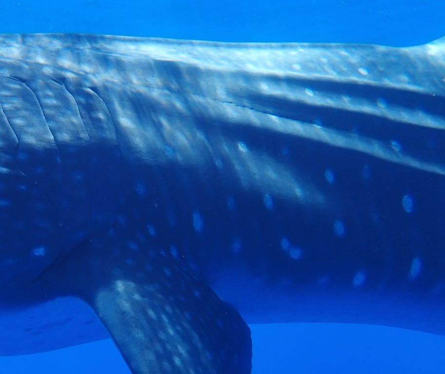 a9e3ffc6-4524-411c-b9c6-d9d0cca8d93e