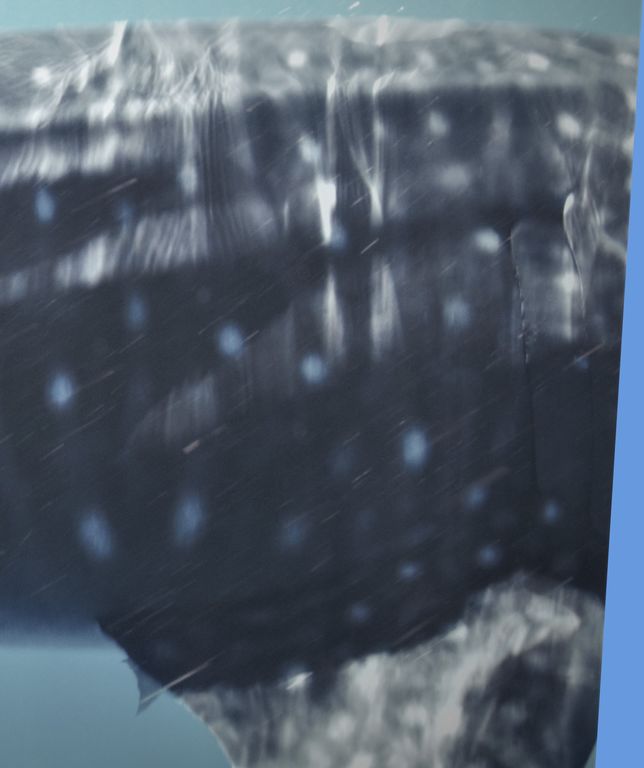 93536fc3-402e-400c-be6a-09da6043040f