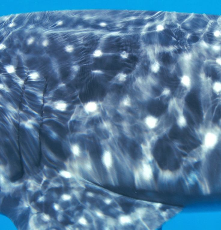 93536fc3-402e-400c-be6a-09da6043040f