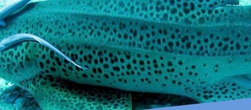 1ee73e93-0ce1-4d1b-901b-009d9a61ecb0