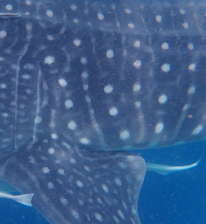 d4406d25-aed0-4166-b88c-14e609a78fb0