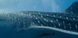 eac95212-93ef-46b2-aa6f-5adebe94b62f