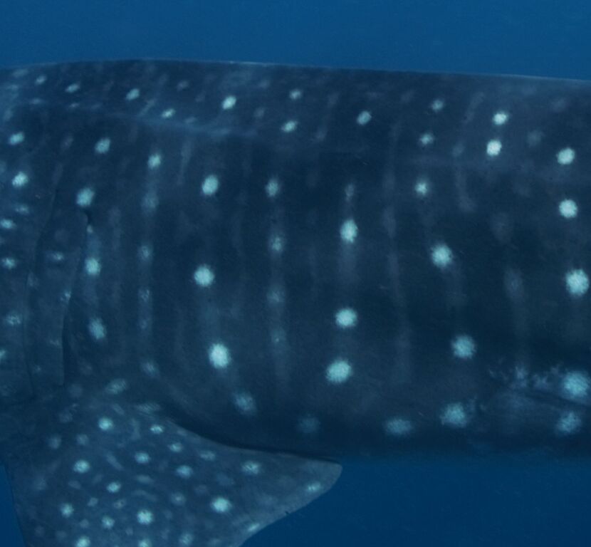 120176b1-ae4d-41d1-ad70-87ff7a4dfb56