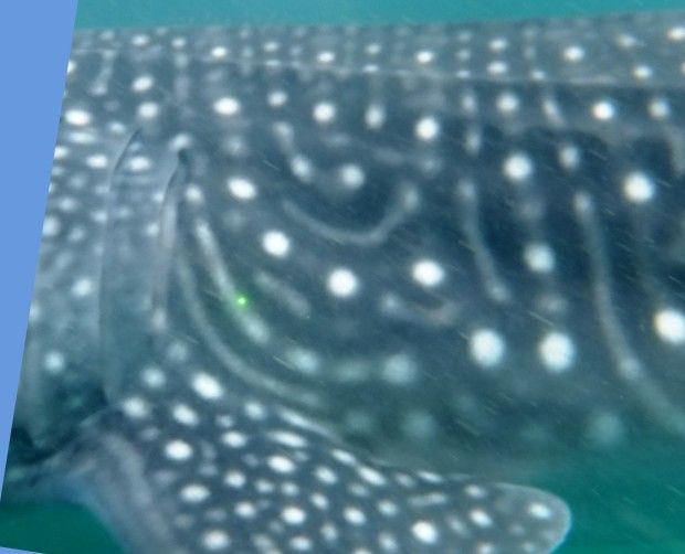 dccc5ac3-7da5-4cc5-a53a-f8f0f1345831