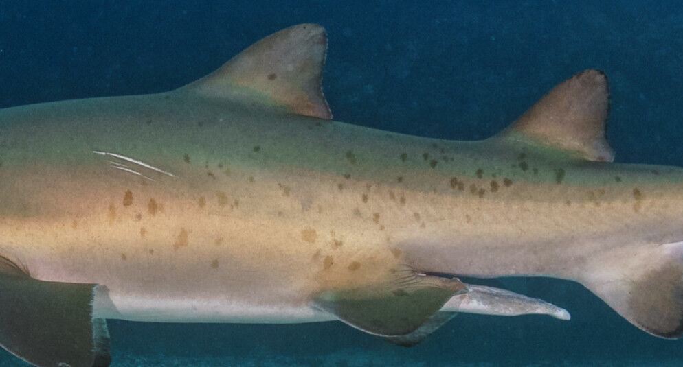 c34713d9-7472-4a23-95c1-0bd404c21f96