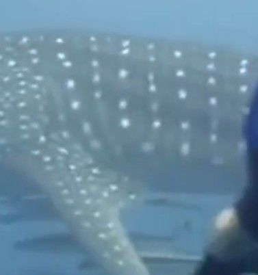 a7983499-11b7-41b0-9745-0bed5dd8ec97