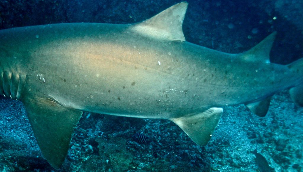 a80923c4-dc30-4d48-800d-3db1cdbf366d