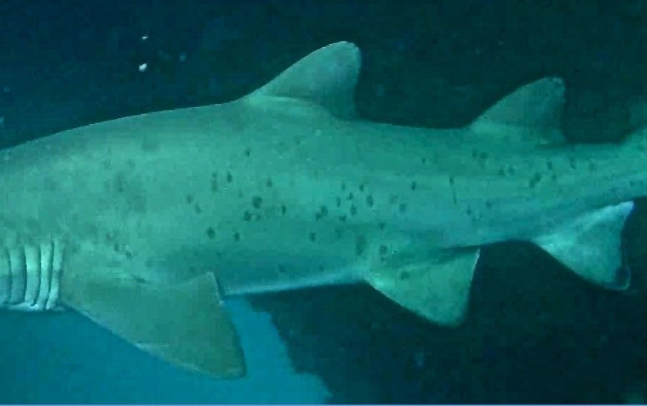 c56eb5de-ba9c-41e8-bf48-f73bf16db0b5