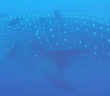 15d1e840-6a8f-4875-b67e-f07a438a1701