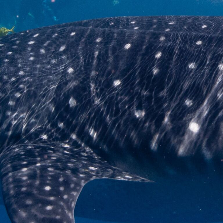 65847a9d-76d0-4c71-b7c9-cce3b9e13176