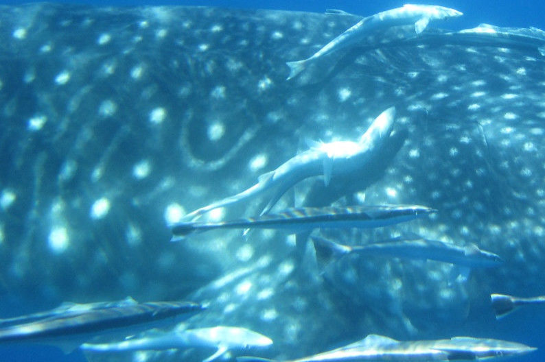 db19ebd3-1398-45d3-b098-37d161d643dd