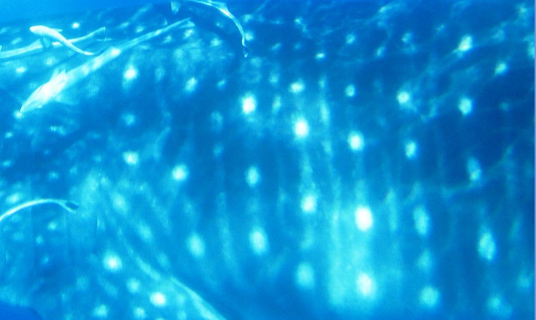 db19ebd3-1398-45d3-b098-37d161d643dd