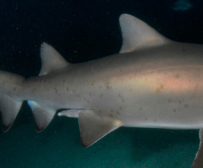 b0d7babf-ba59-4dd3-a672-0861787e0e0d