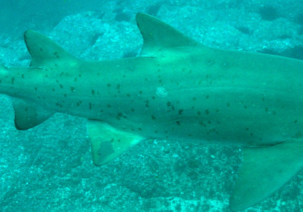 d764c215-bd09-4dae-8cf9-db4eca7f5289