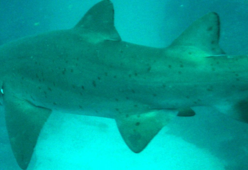 d764c215-bd09-4dae-8cf9-db4eca7f5289