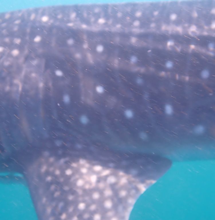 b6bfb35e-4324-47a8-828e-5e355c596cf2