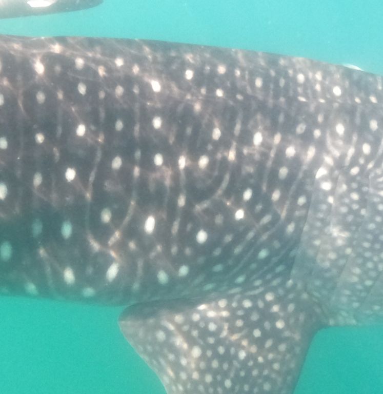 34bc1a5a-0370-4d46-a336-1049fb22ae65