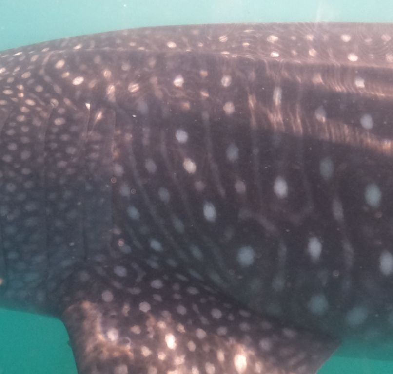 34bc1a5a-0370-4d46-a336-1049fb22ae65