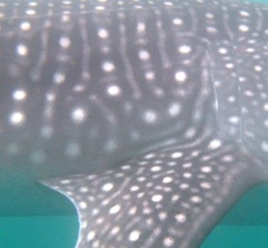 54e3d2af-5e24-4dfb-ab96-ff672d792227