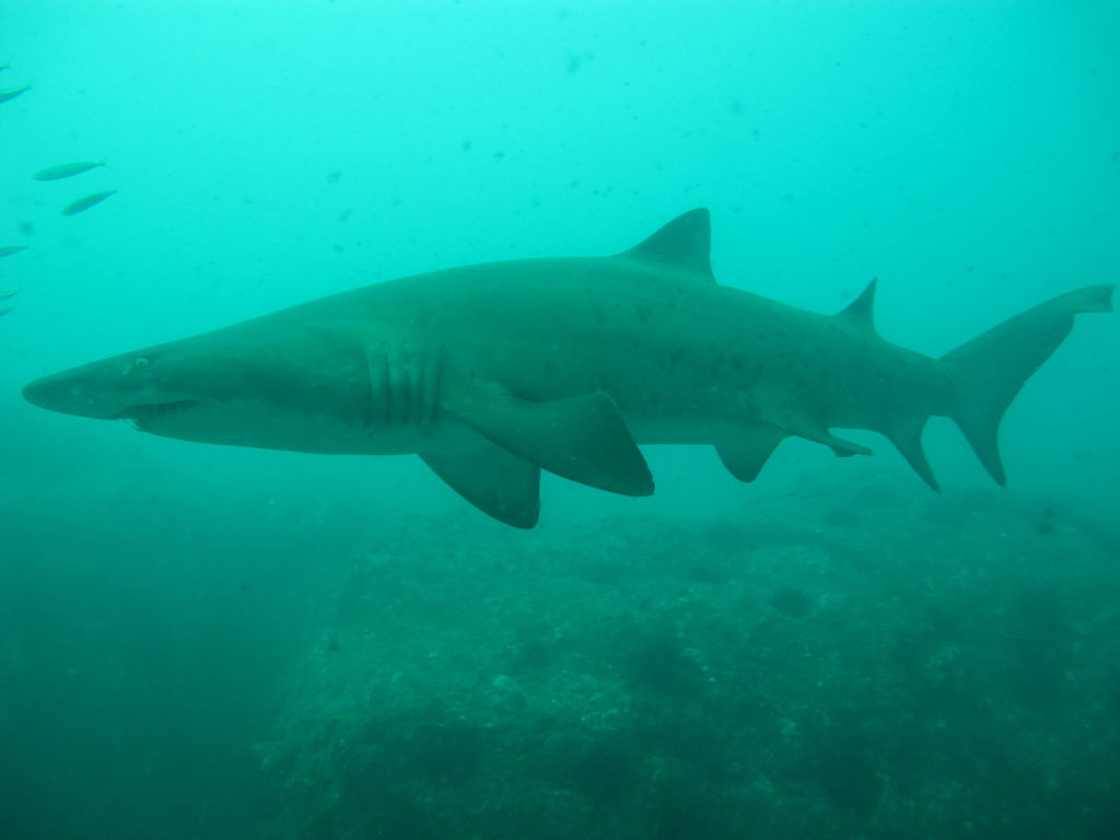 2083e0cf-7d45-419d-889f-55326a255065