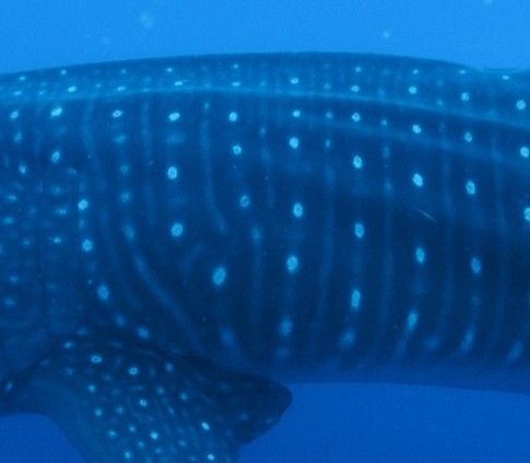 c2074aff-df8e-4569-9158-38d8ecbfeb76