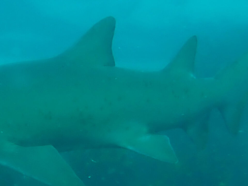 10309297-3987-4440-9515-556fbc377f13