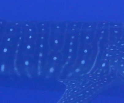 d2d0085b-90d6-4834-b731-3f149da07082