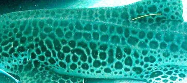 6aaf3901-bd04-4cf9-a606-86e2001a74f7