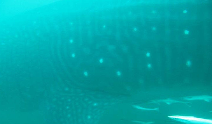 1d82b352-5229-4647-a1c3-1be694cb3f13