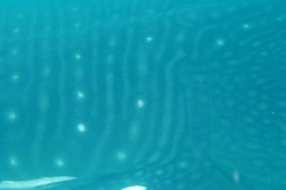 1d82b352-5229-4647-a1c3-1be694cb3f13