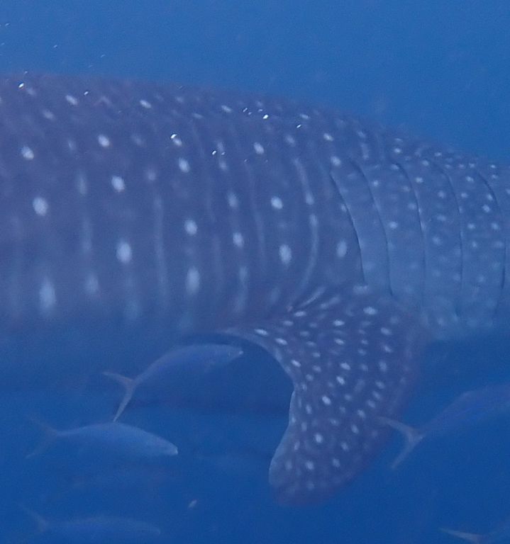 db0f751a-1fa5-4ddf-9b2b-f5ef1b967224