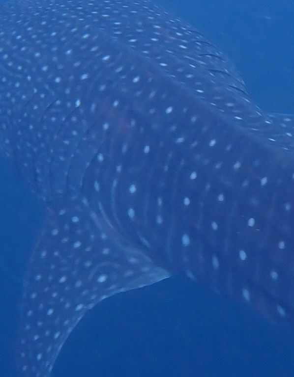 db0f751a-1fa5-4ddf-9b2b-f5ef1b967224