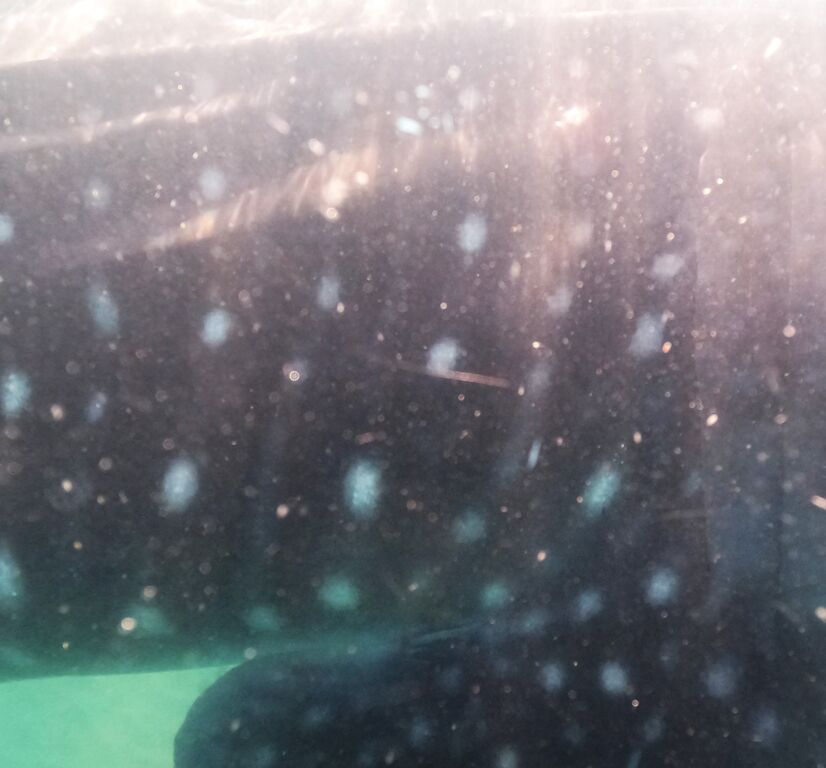 a13c8463-4597-4d5d-a5ed-f7c3ac5ff982