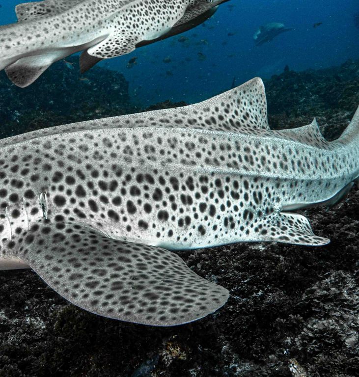 b9609171-24f8-4a67-92bf-9c366a62b0d2