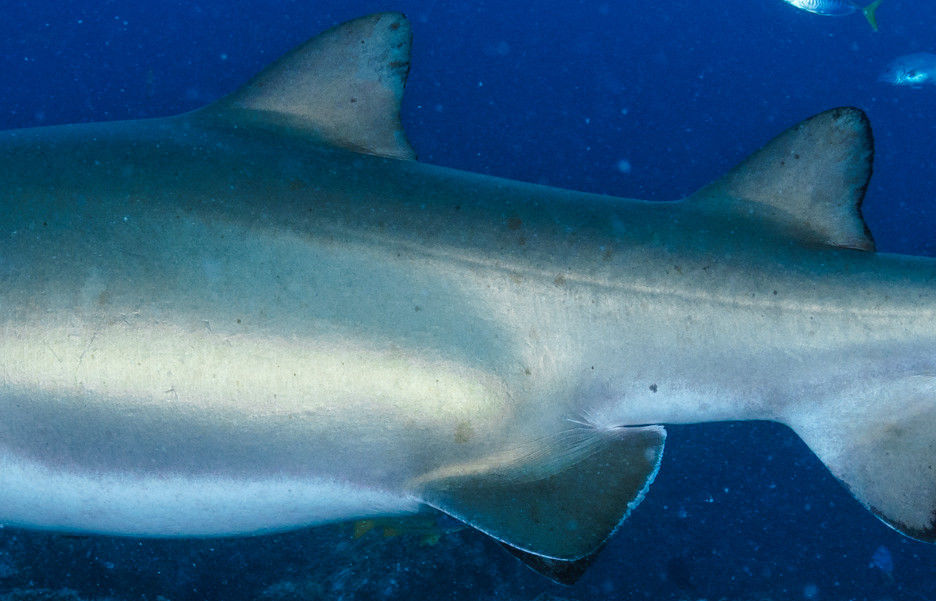 1d29e339-82d5-4116-a6f5-abb4df1a18a0