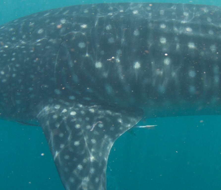 36a6d851-703c-413a-95b9-d07027b7a6a6