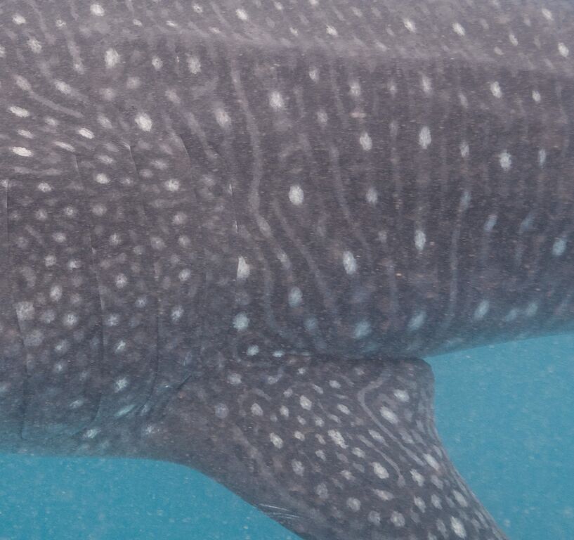 2ab54251-1687-4bcb-843f-460f81cfaeae