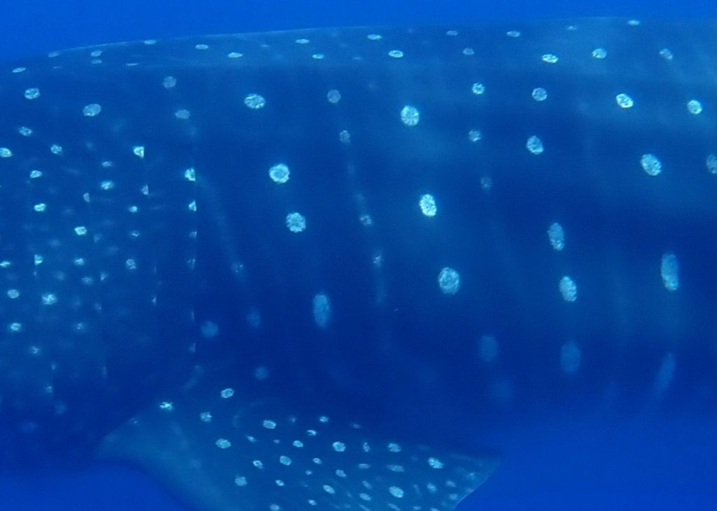 84a43abb-baee-4482-9421-bbc2e0f7c1f4