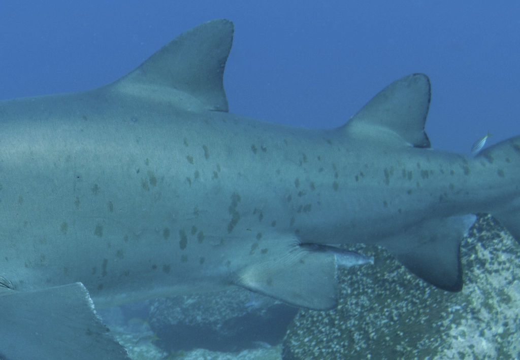 f166419e-3c8b-4d87-a503-5f2085f6c79a