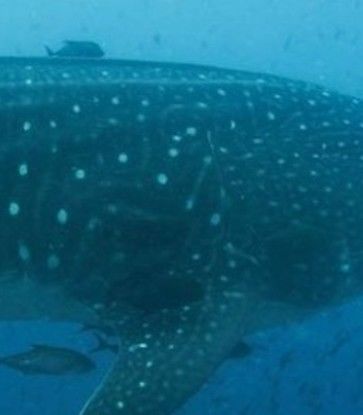 70efcd3f-ece5-408b-9c59-1bf4102ce834