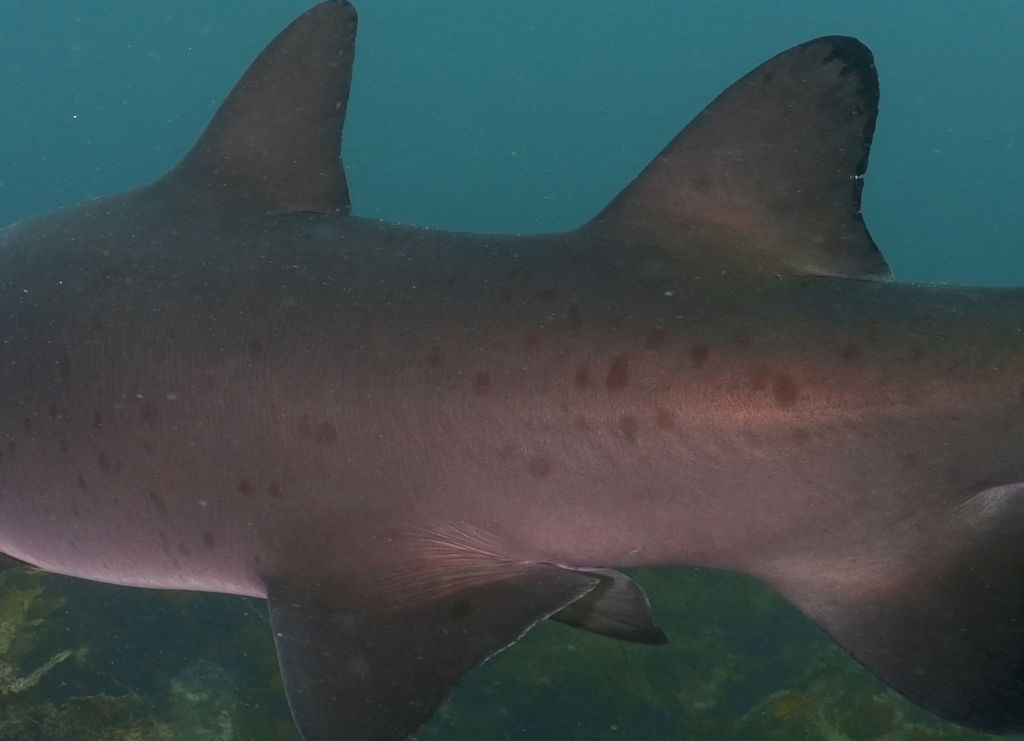 19a7750c-7bfc-4068-b662-1e428cfacfc0