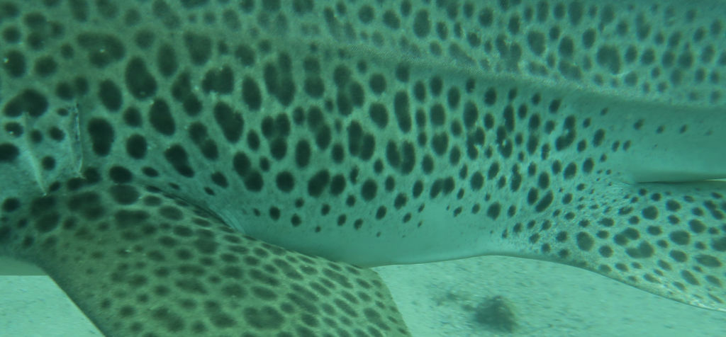 4e07de80-6721-46de-b22c-87907b6969e3