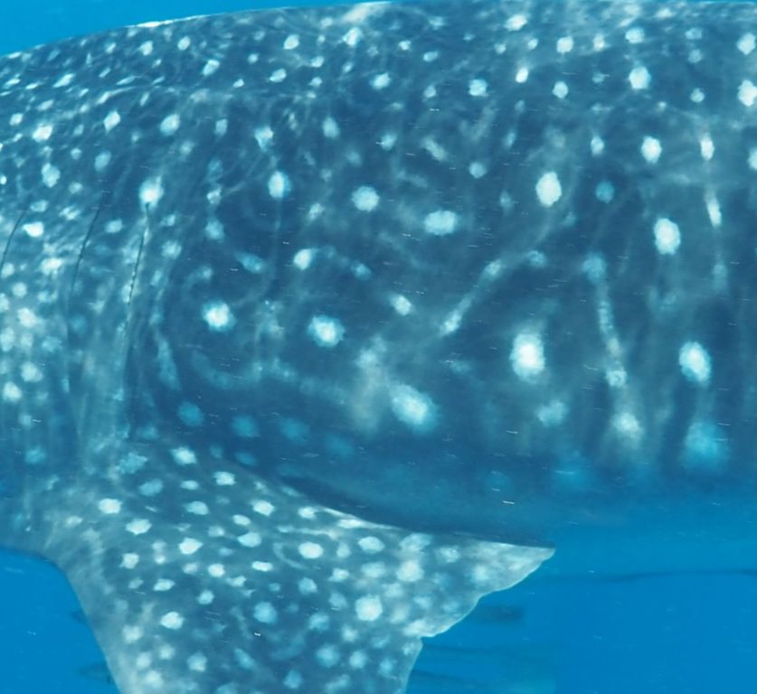 8165ff56-3476-4b0b-b10f-5b77fc71526e