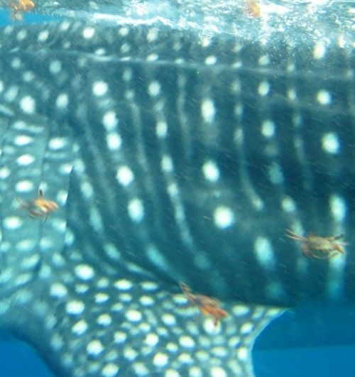 f4da3f78-3c67-4019-879d-c4e684a595fe