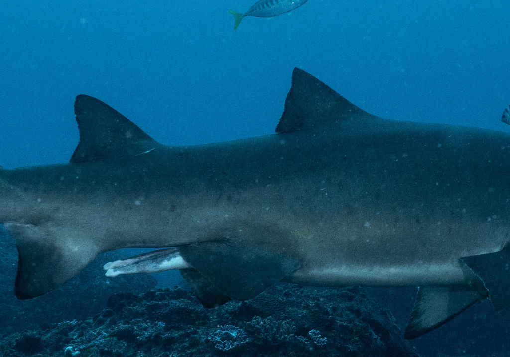 c146b4ac-6188-48c4-91d7-2f90f2ac6c19